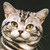 :iconilovenermal: