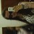 :iconilovepeachesandcake: