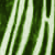 :iconILovePepe: