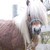 :iconiloveponiesalot: