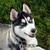 :iconilovesportsnwebkinz: