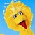 :iconilovestalking: