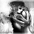 :iconilovetwilightthings: