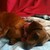 :iconilovewarriors15: