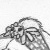:iconilphae: