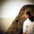 :iconilseswart: