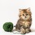 iluvcats821 :iconiluvcats821: