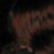 :iconiluvdogs723: