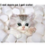 :iconiluvflufflepuff: