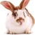 :iconiluvgrey: