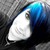 :iconiluvmyponys: