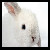 :iconilyxd: