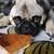 :iconim-crazy-for-pie: