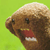 :iconim-fine-again: