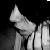 :iconimagesofagirl: