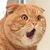 :iconimagesofangels: