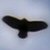 :iconimagesolo: