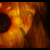 :iconimaginacja: