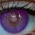 :iconimaginaitrx: