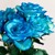 :iconimaginaryroses: