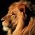 Imaginative-Lion :iconimaginative-lion: