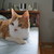 :iconimagine-me23:
