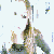 :iconimagine-your-world: