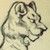 :iconimaginebright: