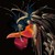 :iconimagines: