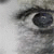 :iconImagineUs: