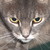 :iconimagreekgoddess: