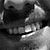 :iconimajina: