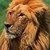 :iconimalion010: