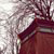:iconimalwaysdreaming: