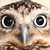 :iconimapartyrocker: