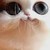 :iconimbleedingneon: