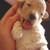 imFamiliar :iconimfamiliar: