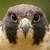 ImFromPluto :iconimfrompluto: