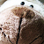 :iconimjoo:
