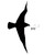 :iconimjustyourpostman: