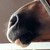 :iconimkaislief11: