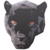 :iconimmac636: