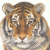 :iconimmortal-tiger: