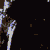 :iconimmortalcrow25: