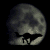 :iconimmortaldrkness7: