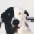 :iconimmortalfish20: