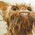 :iconimmortalpain: