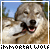 :iconimmortalwolf: