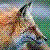 :iconimmundus: