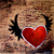 :iconimnothingspecial: